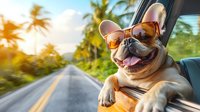 French bulldog wearing sunglasses enjoying car ride on tropical road with palm trees, sticking head out window during sunset, capturing joyful summer travel moment.