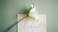 White lily resting on aged paper card with calligraphy be kind quote, soft sage green background, minimal elegant flat lay.