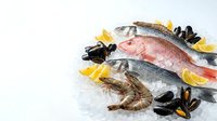 Fresh seafood display on ice with whole fish, prawns and mussels for restaurant menu, cooking ingredients and gourmet cuisine preparation.