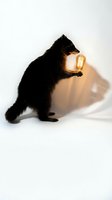 Adorable black kitten holding glowing vintage light bulb in paws on white background creating magical warm illumination and creative energy concept.