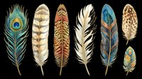 Colorful bird feathers collection isolated on transparent background, ready for stickers, clipart, sublimation, print on demand, and t-shirt design use.