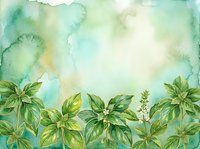 Watercolor botanical illustration with green foliage and soft pastel wash background, suitable for nature-themed designs, wellness branding, and organic product packaging.