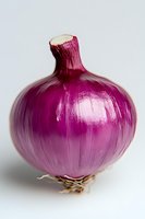 Fresh red onion bulb with papery purple skin and natural root fibers on white background, macro photography showing detailed texture and layers.