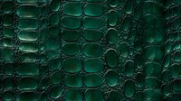 Emerald green crocodile leather texture with glossy scales and natural pattern. Luxury exotic animal skin surface close up for fashion and accessories background.