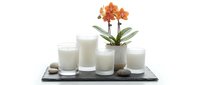 Spa wellness arrangement with lit candles, fresh milk glasses and orange orchid flower on dark slate tray isolated on white background for relaxation design.