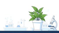 Green plant in white pot on laboratory table with scientific equipment and microscope for botanical research and plant biology studies.