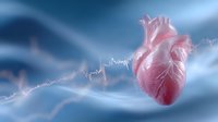 Anatomical heart with electrocardiogram wave floating on blue background, medical visualization showing cardiac rhythm and heart structure.
