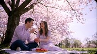 Man and woman sitting under blooming cherry blossom tree during spring picnic, enjoying outdoor romantic moment together in nature.