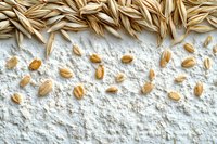 Raw oat grains scattered on white flour background, creating natural border design for baking and cooking concepts, top view macro photography.
