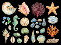 Watercolor ocean collection with seashells, coral, starfish, seahorse, sea glass, and stones, isolated on transparent background. Ready for clipart, stickers, t-shirt design, sublimation.