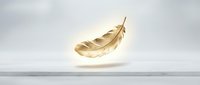 Golden feather floating against white background, isolated design element suitable for luxury branding, wellness graphics, and decorative applications.