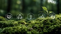Young plant growing from moss with sustainability icons showing environmental conservation concepts for green business initiatives and ecological responsibility.