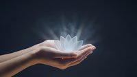 Caucasian woman's hand holding glowing lotus flower against dark background, symbolizing spirituality, wellness, meditation, and inner peace for mindfulness and healing concepts.
