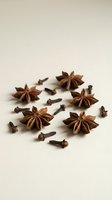 Star anise and cloves scattered on neutral background for culinary cooking baking spice ingredient food photography kitchen design recipes.