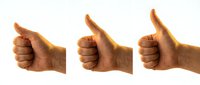 Thumbs up gesture isolated on white background, ready for design use on websites, apps, presentations, and marketing materials.