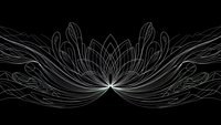 Elegant white lotus flower with flowing ornamental wings on black background for spiritual meditation designs, yoga branding and wellness graphics.