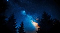 Stunning night sky with Milky Way galaxy stretching across starry heavens above silhouetted pine forest creating magical cosmic landscape for astronomy enthusiasts.