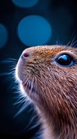 Close-up macro shot of brown rodent face with bright blue eye and whiskers against dark background with bokeh lights, showing fine fur detail and texture.