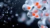 Delicate translucent white petals with glowing orange centers create ethereal floral composition against dark background. Artistic macro photography with bokeh effect.