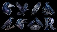 Dark blue crow and raven illustrations isolated on transparent background, ready for t-shirt design, clipart, stickers, sublimation and print-on-demand projects.