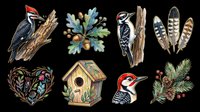 Pileated woodpecker, downy woodpecker, feathers, birdhouse, pine branch, acorn plant, floral heart, and red-headed woodpecker isolated on transparent background. Ready for t-shirt design, clipart, stickers, sublimation, and print-on-demand projects.