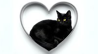 Adorable black kitten with bright yellow eyes sitting inside silver heart-shaped frame on white background, perfect for pet love themes and designs.