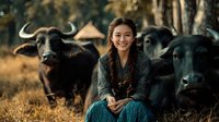 Young Asian woman farmer sitting peacefully among water buffalo herd in rural countryside during golden hour sunset for agricultural lifestyle content.