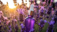 Purple glass dropper bottle with essential oil serum nestled among blooming lavender flowers at golden hour sunset for natural skincare and aromatherapy.