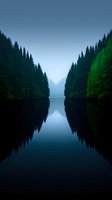 Serene lake surrounded by dense evergreen forest reflecting in still water at dusk, creating mirror-like symmetry in moody atmospheric landscape.