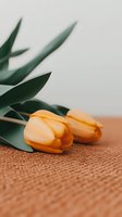 Soft peach tulips with green leaves lying on textured burlap surface, creating gentle romantic mood. Minimalist floral composition for spring decor.
