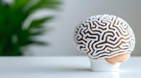 Stylized white ceramic brain model with maze pattern on clean background, highlighting neuroscience and mental health concepts. Palm leaves add natural element.
