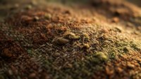 Close-up macro view of rich brown soil texture with organic matter and small plant debris creating natural earth surface pattern for gardening concepts.