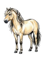 Cream and tan horse with flowing dark mane and tail, standing in profile on white background. Isolated equine illustration suitable for design, print, and educational materials.