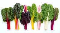 Fresh colorful rainbow chard leaves with vibrant stems arranged in row on white background, organic leafy greens for healthy cooking and nutrition.