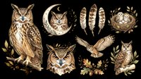 Owl collection featuring various species isolated on transparent background, ready for t-shirt design, clipart, stickers, sublimation and print-on-demand projects.