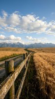 Wooden fence line leading through golden grassland toward snow-capped mountain range under dramatic cloudy sky in rural countryside landscape.