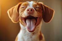 Laughing brown and white mixed breed puppy with closed eyes and wide open mouth showing pink tongue against warm brown background. For pet care and animal happiness concepts.