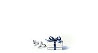 Isolated gift box with navy blue ribbon bow and decorative greenery on white background, ready for holiday greeting cards, packaging design, and seasonal marketing materials.