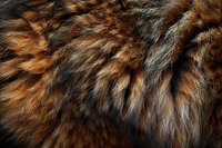 Brown and gray animal fur texture close-up showing natural pattern and direction of hair growth. Macro photography reveals intricate details of furry surface.