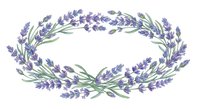 Watercolor lavender wreath with purple flowers and green leaves isolated on white background for wedding invitations and botanical designs.