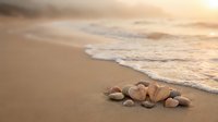 Heart-shaped stones and pebbles arranged on a sandy beach at golden sunset, with soft ocean waves in the background.