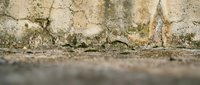 Weathered concrete surface with deep cracks and moss growth showing urban decay and aging infrastructure for construction and renovation projects.