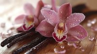 Pink orchid flowers with water drops on dark wooden surface and vanilla pods create serene spa atmosphere for wellness and relaxation designs.