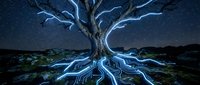Mystical bare tree with glowing blue lightning energy against starry night sky creating magical fantasy landscape for digital art and creative projects.