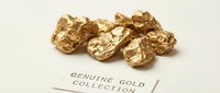 Raw gold nuggets collection displayed on white background with genuine gold collection label for precious metals investment and mining industry.