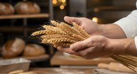 Baker hands holding golden wheat ears in artisan bakery with fresh bread loaves and warm lighting creating cozy atmosphere for organic baking concept.