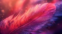 Magical pink and purple feather with water drops in dreamy bokeh light, extreme macro photography perfect for romantic and fantasy designs.