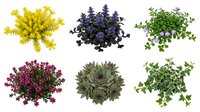 Collection of six colorful artificial plants and foliage arrangements isolated on white background for home decor and crafting projects.