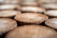 Close-up macro view of wooden tree rings showing annual growth patterns in natural brown tones with selective focus and blurred background. Suitable for nature concepts.