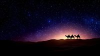 Desert caravan silhouette with camels crossing sand dunes under starry night sky with purple and pink aurora glow on horizon for travel and adventure themes.